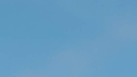 Las minicasas rodantes se han vuelto la mejor opción para algunos compradores.