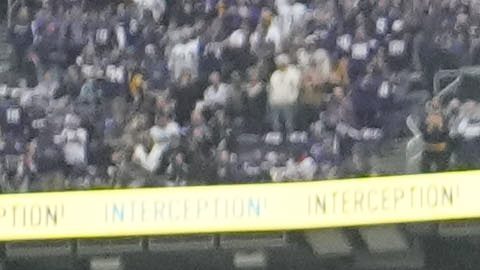 Celebración de Minnesota Vikings.