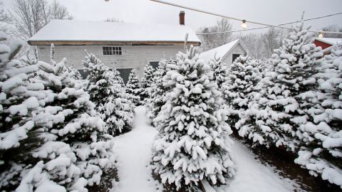 Nieve en Navidad