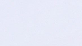 Ninel Conde, actriz mexicana.