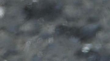 Fotografía de un cartel quemado con la imagen de Donald Trump durante una manifestación este lunes, en Ciudad de Panamá (Panamá).