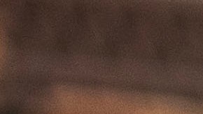 Los pepinos fueron distribuidos en New York y New Jersey.