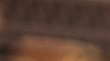 Los pepinos fueron distribuidos en New York y New Jersey.