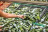Los pepinos fueron distribuidos en New York y New Jersey.
