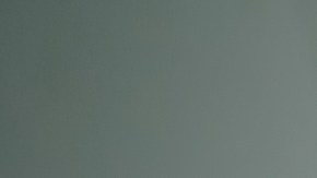 Las pizzas tenían fecha de vencimiento del 27 de noviembre.