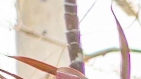 motor aire acondicionado