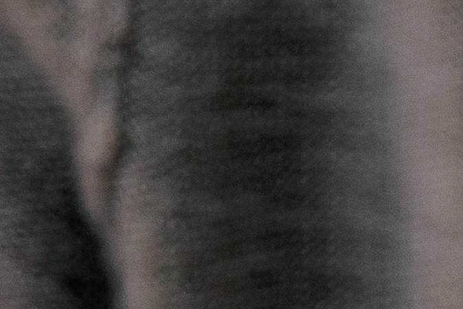 Iniciar las comidas con sopas o caldos calientes ayuda a mejorar la digestión y a prevenir la hinchazón.