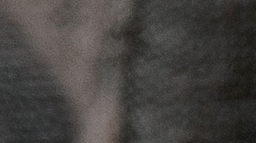 Iniciar las comidas con sopas o caldos calientes ayuda a mejorar la digestión y a prevenir la hinchazón.