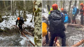 Durante tres días los voluntarios rescatistas recorrieron el bosque hasta encontrar a los dos hombres.