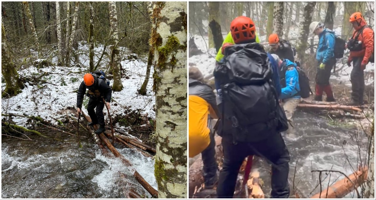 Rescatistas encuentran dos excursionistas muertos en un bosque de Washington