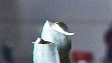 Don Julio tiene tradición de más de 25 años, y se caracteriza por servir los mejores cortes de carne y vinos locales.