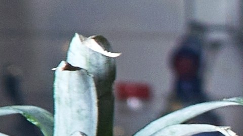 Don Julio tiene tradición de más de 25 años, y se caracteriza por servir los mejores cortes de carne y vinos locales.