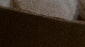 Los huevos se vendieron en cinco estados del país.