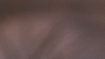 El producto fue distribuido a restaurantes y establecimientos minoristas en Delaware, Maryland y Pensilvania.