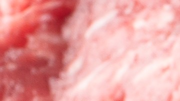 Las salsas son preparaciones que ayudan a realzar los sabores de otros alimentos.