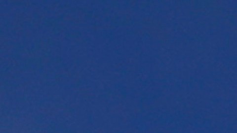 Ciudadanos de Siria celebran la caída de Bashar al-Ásad.