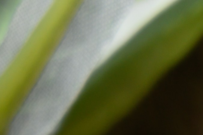 Estudios científicos dan cuenta de los beneficios de la cáscara de mandarina.