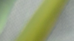 Estudios científicos dan cuenta de los beneficios de la cáscara de mandarina.