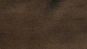 El té de pasiflora ayuda a conciliar el sueño, si se bebe antes de acostarse.