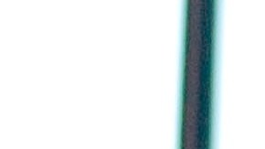 Thalía con su esposo Tommy Mottola.