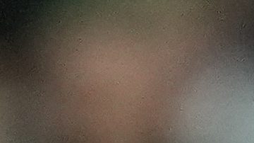 Ilia Topuria haciendo saque de honor en el Santiago Bernabéu.