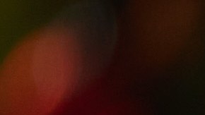 Con algunos ajustes en la alimentación durante las fiestas, podemos evitar acumular calorías y disfrutar de las comidas.