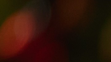 Con algunos ajustes en la alimentación durante las fiestas, podemos evitar acumular calorías y disfrutar de las comidas.