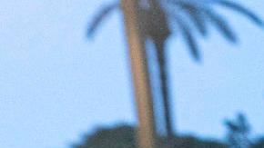 Venezolanos en Murcia, España, exigieron a la CPI que acelere la investigación por crímenes de lesa humanidad cometidos por el régimen de Nicolás Maduro.