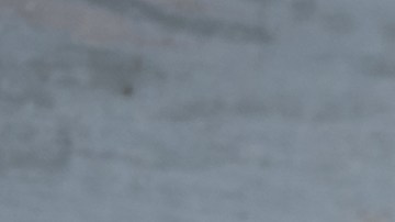 Las verduras son ricas en antioxidantes. fibras y nitratos, elementos que son claves para el control del azúcar en sangre.