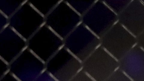 Vinny Magalhaes.