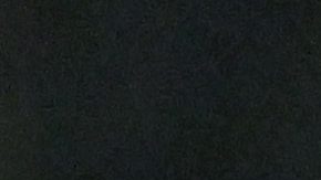 Vladimir Guerrero Jr.