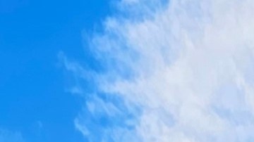 Walmart y Costco abrirán en un horario especial este 31 de diciembre.