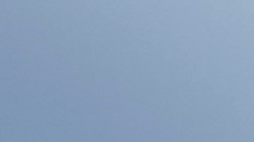 Walt Disney World’s.