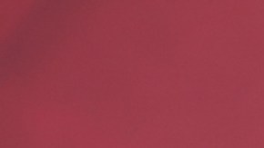 Yailin La Más Viral, cantante dominicana.