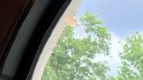 Delegada por la estadidad Zoraida Buxó