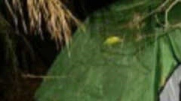 La identidad de la menor no se ha dado a conocer.