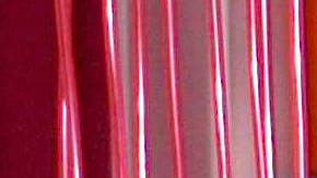 Los fans de “Rebelde” se emocionaron al ver a estas actrices nuevamente juntas.