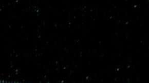 Andrea Meza y Ryan Proctor.