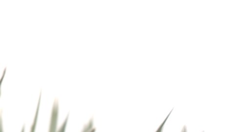 La decisión de Angélica Rivera de regresar a la televisión ha generado una gran expectativa.