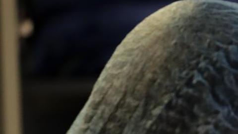 Fotografía de archivo fechada el 14 de abril de 2021 que muestra enfermeros del Centro de Tratamientos intensivos del hospital privado Casmu.