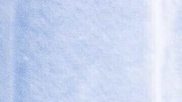 El nuevo entrenador de la Universidad de North Carolina Bill Belichick sostiene una sudadera de la universidad junto al rector Lee Roberts y el director de deportes Bubba Cunningham.