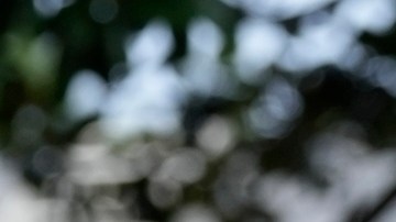 Biden indulta a su hijo Hunter por considerarlo víctima de ataques políticos