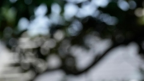 Biden indulta a su hijo Hunter por considerarlo víctima de ataques políticos