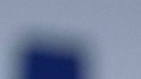 Durante su mandato, el expresidente Bill Clinton indultó a su medio hermano.