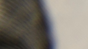 bitcoin-inversion-1000-dolares-2021