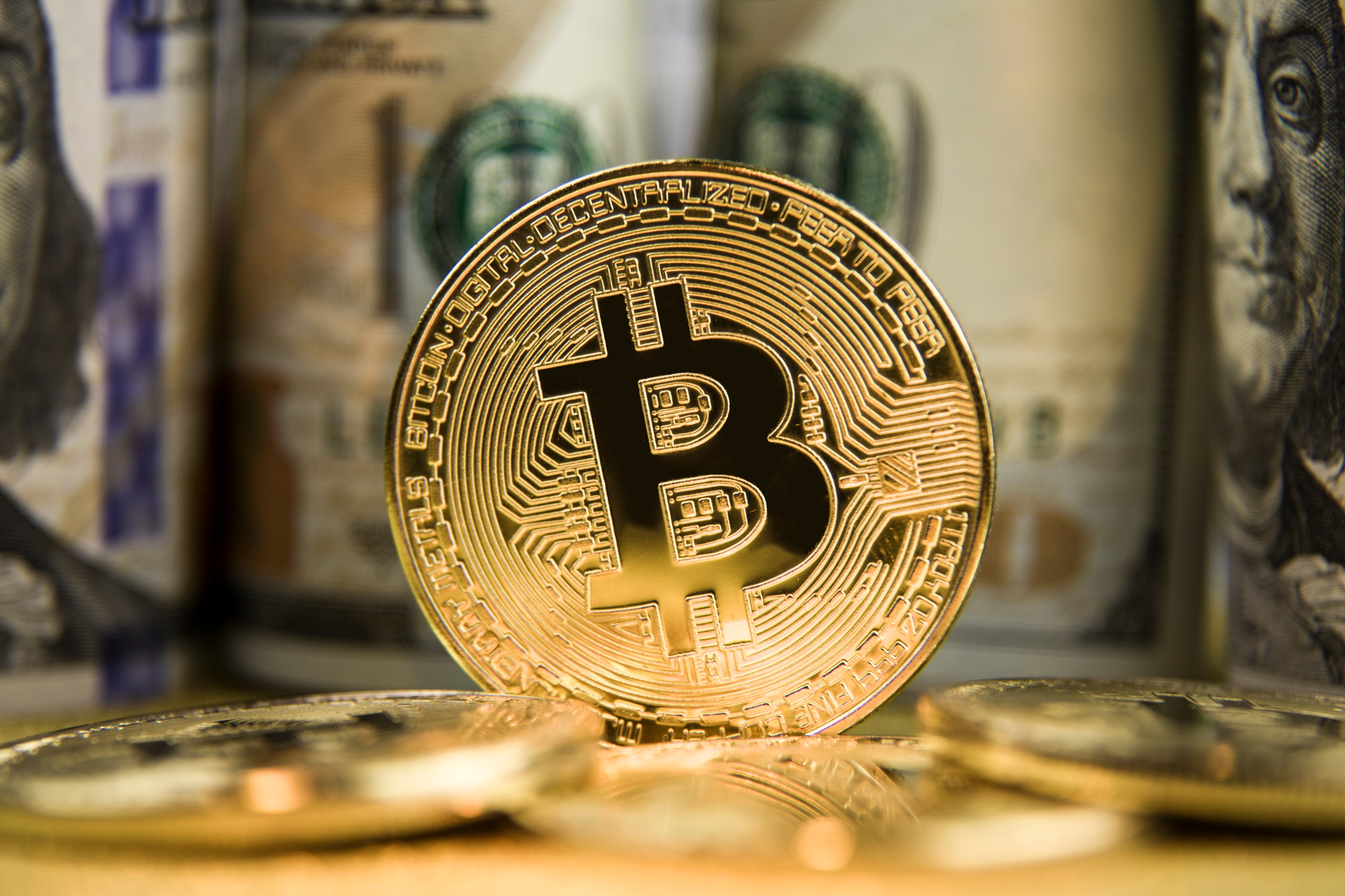 Cuánto tendrías si hubieras invertido $1000 en Bitcoin en 2021 - El Diario  NY