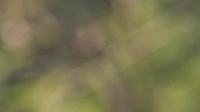 El presidente de Panamá, José Raúl Mulino, habla en la ceremonia conmemorativa por los 25 años de la transferencia del Canal de Panamá este martes, en el edificio de la Administración del Canal en la Ciudad de Panamá (Panamá).