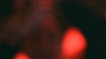 Las acusaciones surgen pocos días después de que Daddy Yankee anunciara su separación de Mireddys.