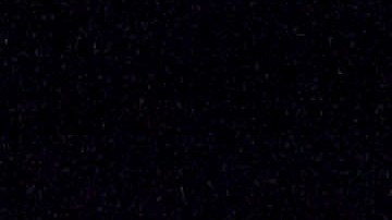 Durante el juicio, "El Cigala" negó las acusaciones.