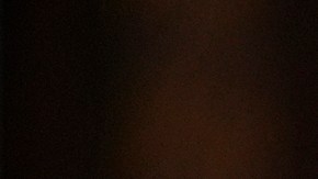 Trump dice que Biden tiene la responsabilidad de evitar el cierre parcial del gobierno